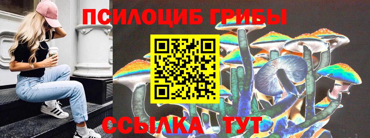 Воронеж  Псилоцибиновые грибы мухоморы  Галлюциногенные грибы мухоморы  Вход с VPN 