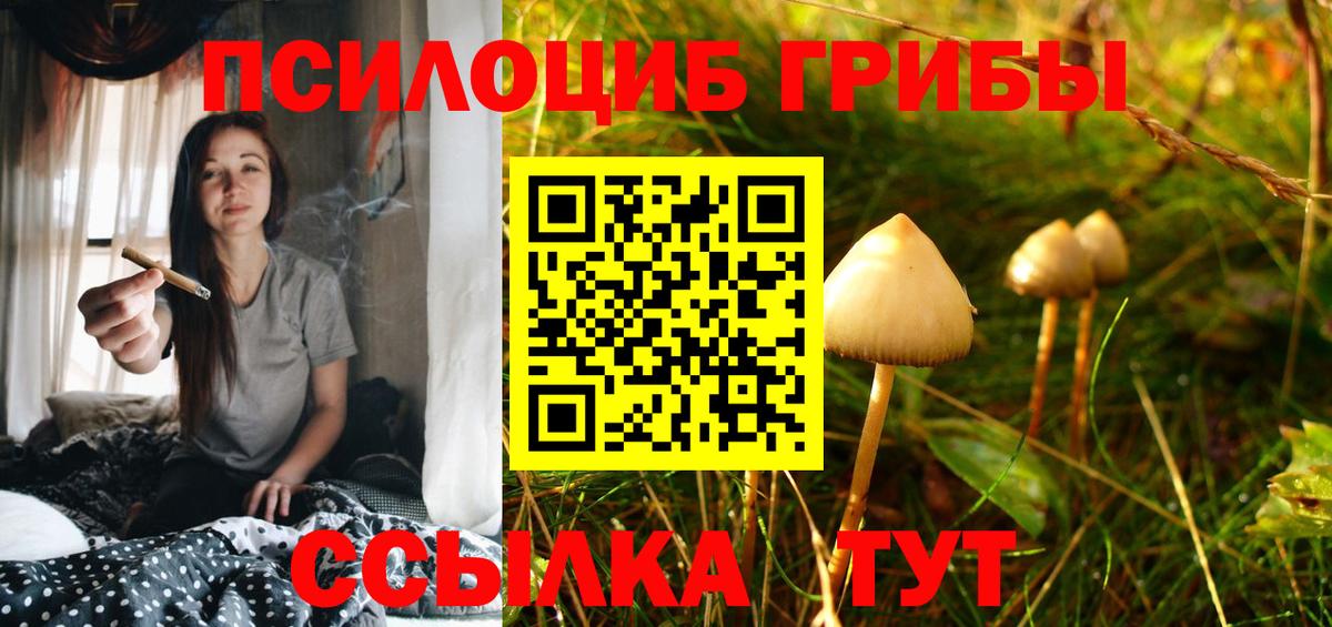 Галлюциногенные грибы MAGIC MUSHROOMS Воронеж